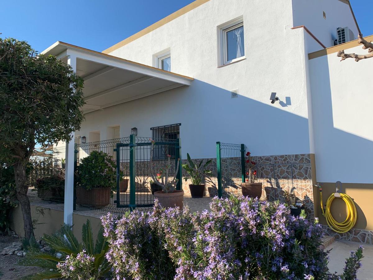 Casa Enric , Con Zona Infantil, Piscina Y Parking Privado Guest House Deltebre Luaran gambar